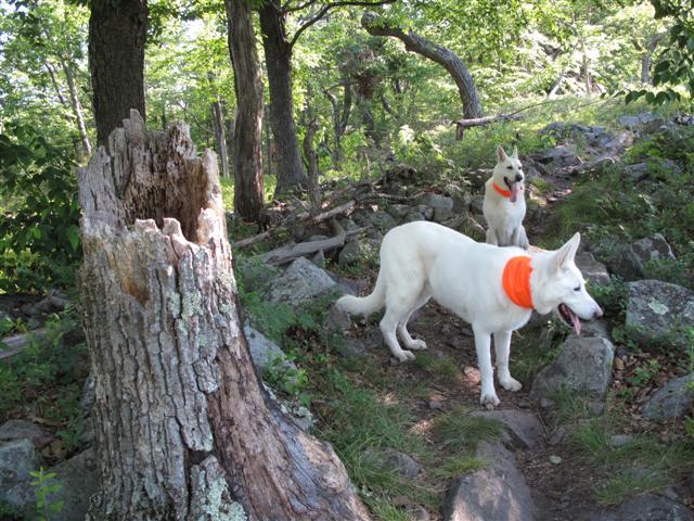 IMG_0192 (Small).JPG IMG_0192 (Small).JPG